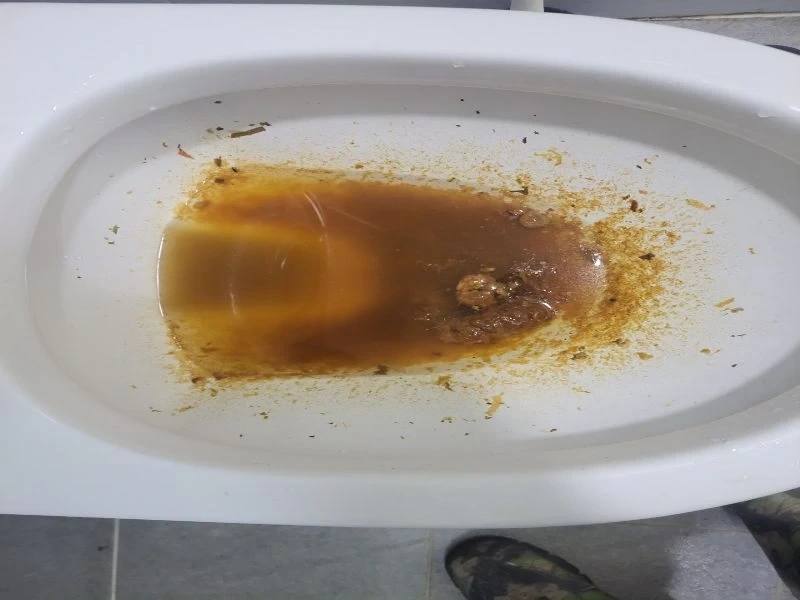 운정 변기막힘 작업사례 28